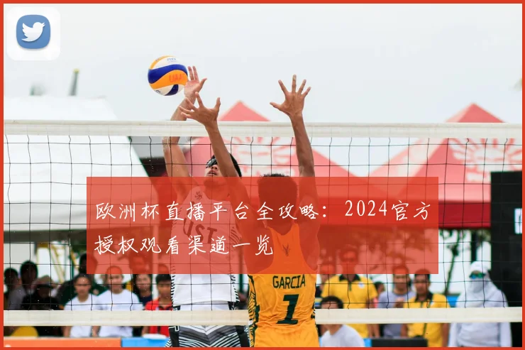 欧洲杯直播平台全攻略：2024官方授权观看渠道一览