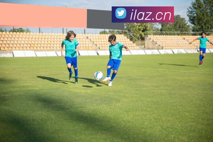 巅峰国际app官方下载服务体系